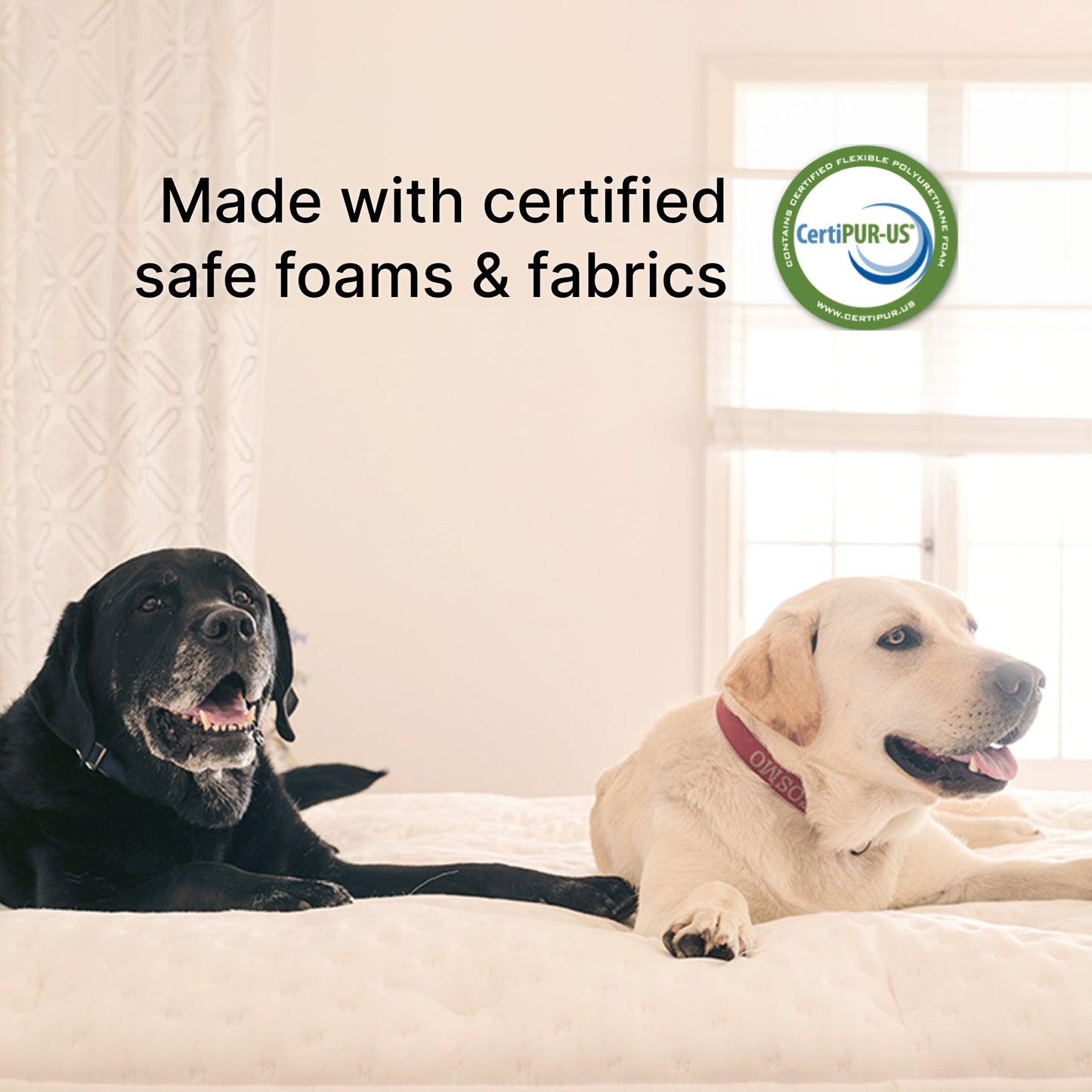 Cosmos Plush Mattress (FLOOR SAMPLE)