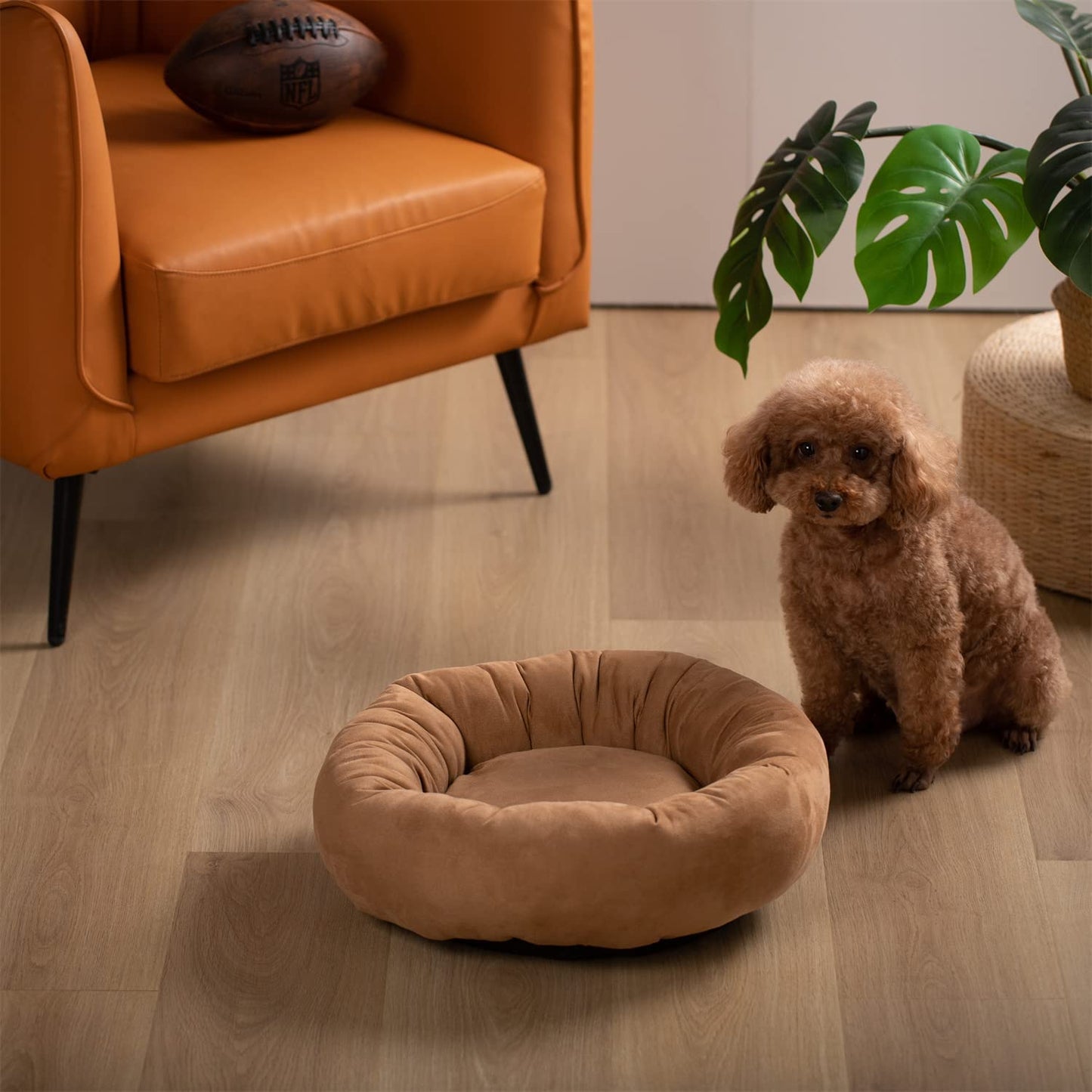 Donut Design Round Dog Bed, Anti Slip and Machine Washable