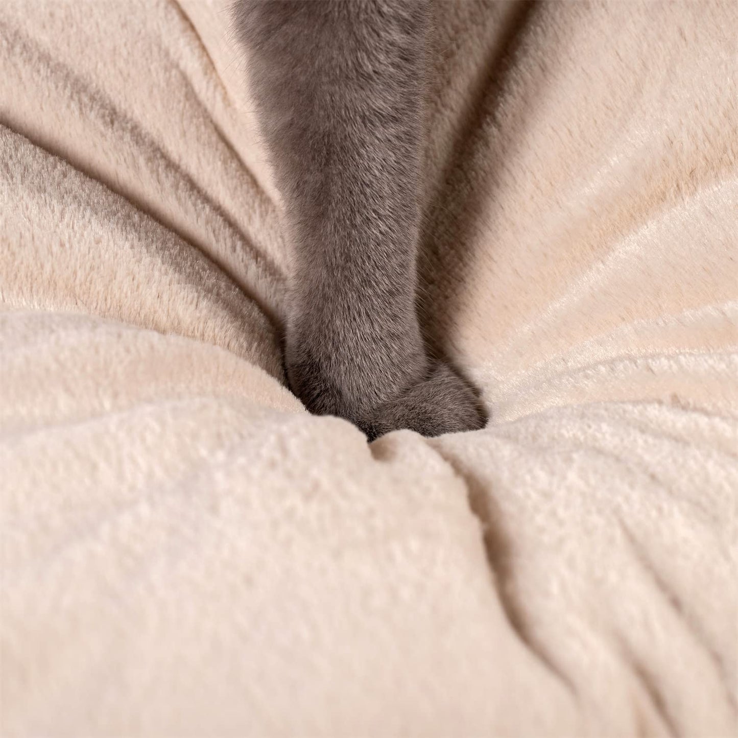 Cat Bed, Lovely Tent with Removable Washable Pillow Cushion