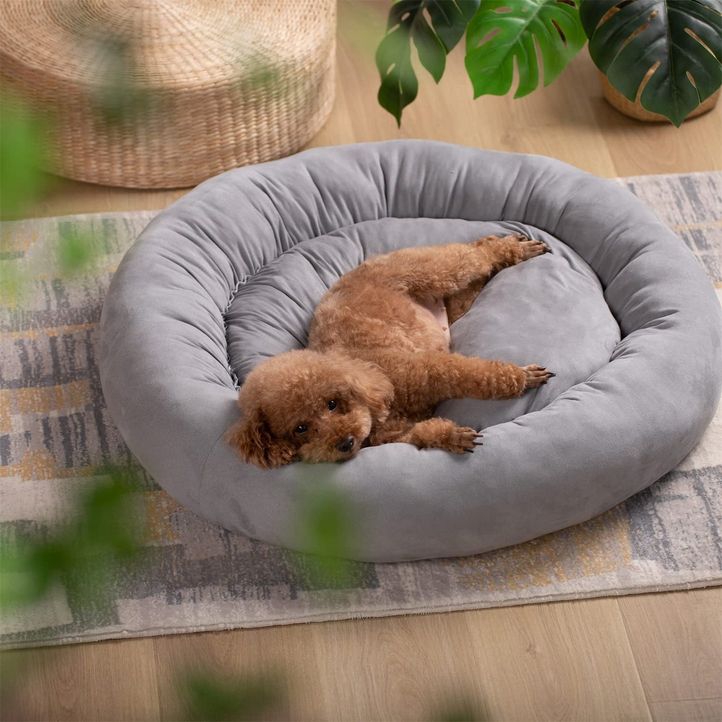 Donut Design Round Dog Bed, Anti Slip and Machine Washable