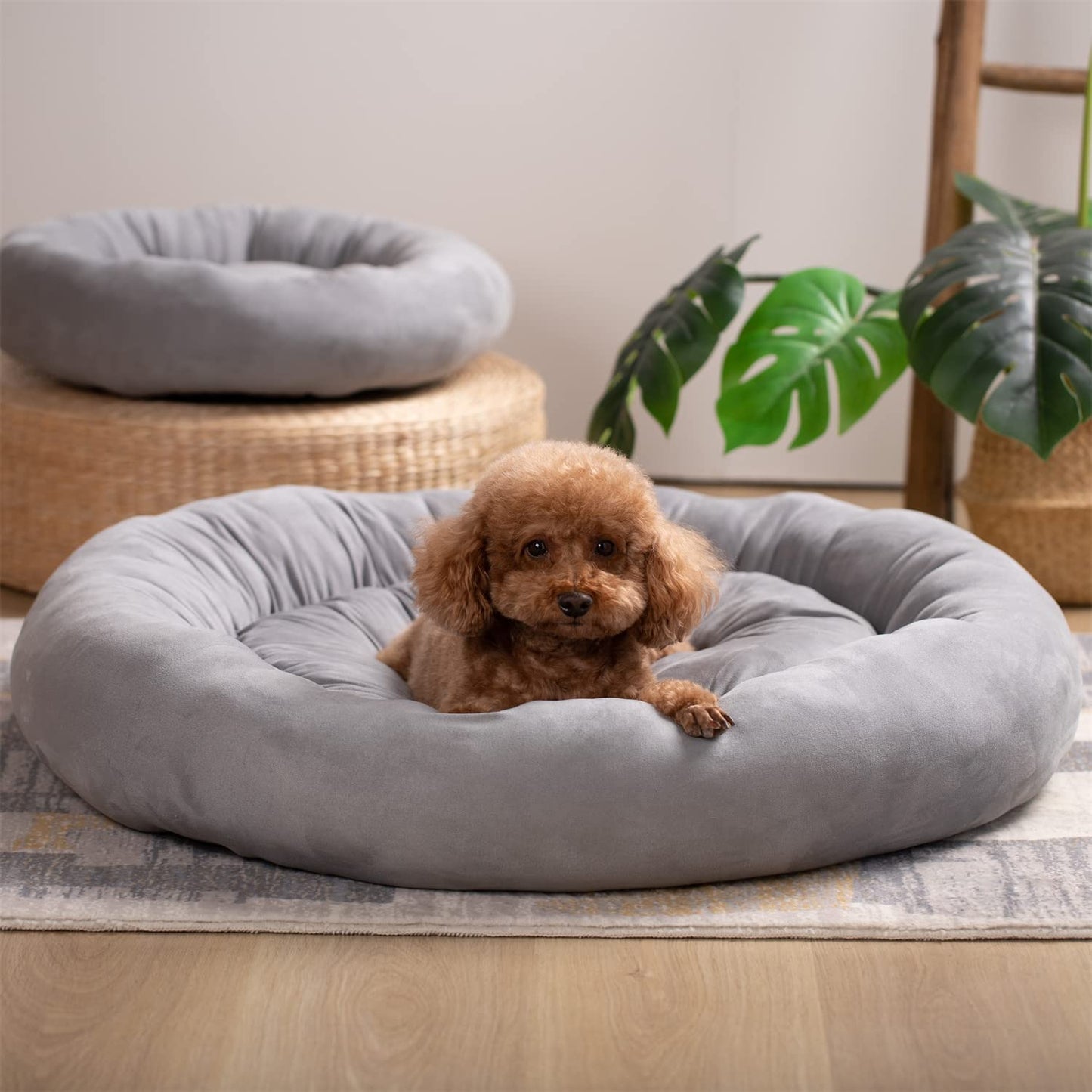 Donut Design Round Dog Bed, Anti Slip and Machine Washable