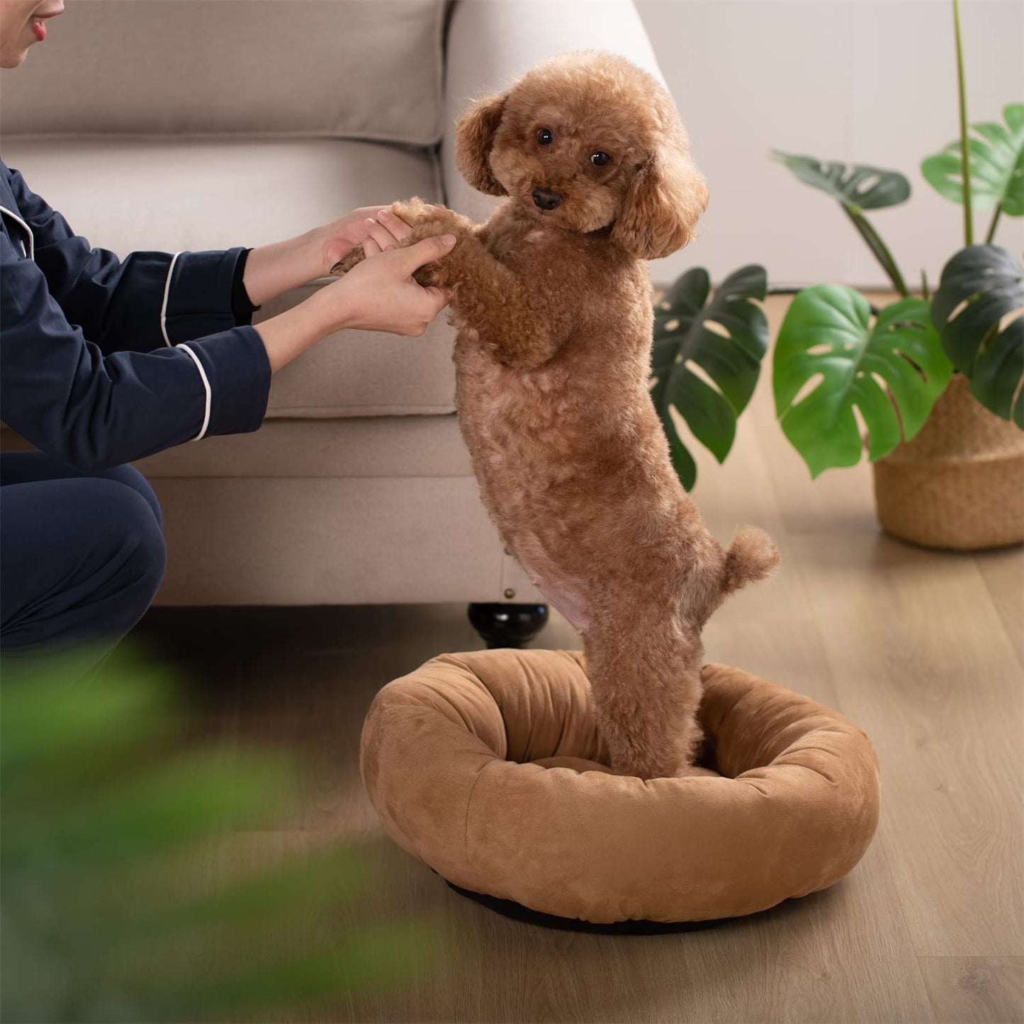 Donut Design Round Dog Bed, Anti Slip and Machine Washable