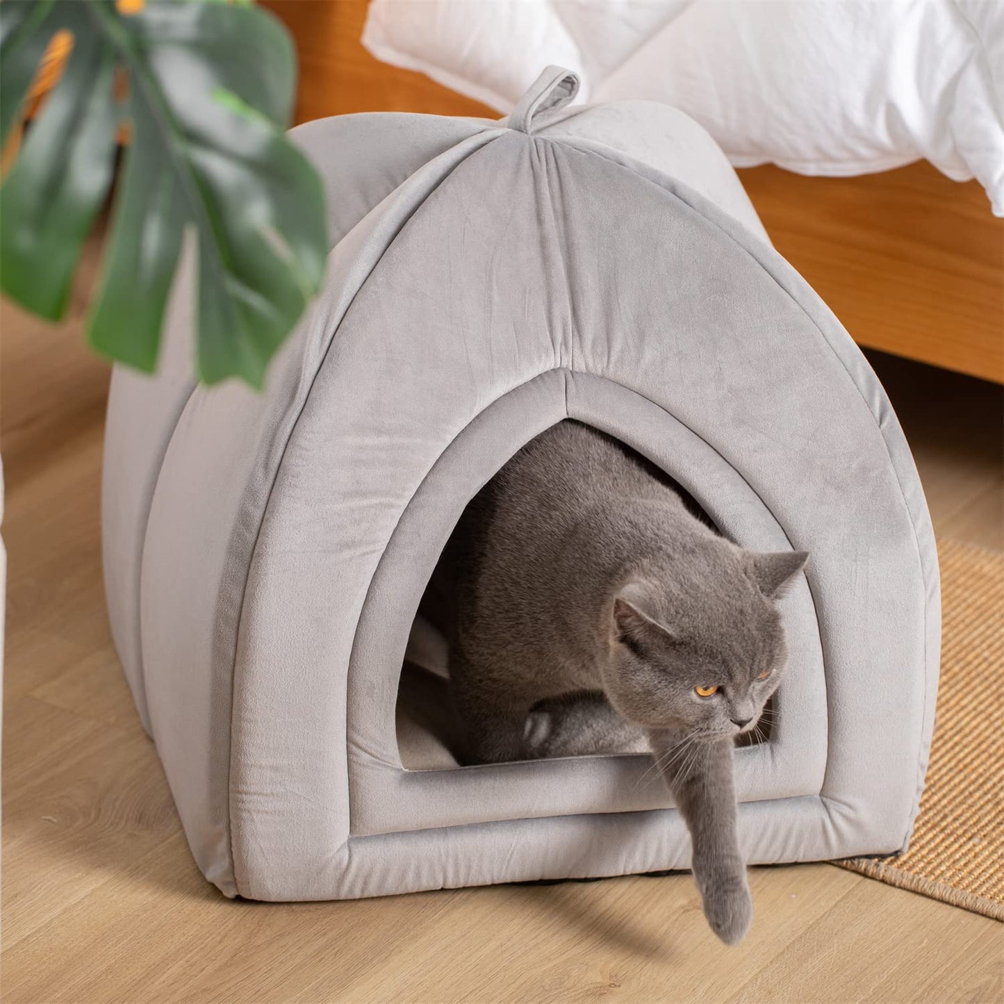 Cat Bed, Lovely Tent with Removable Washable Pillow Cushion