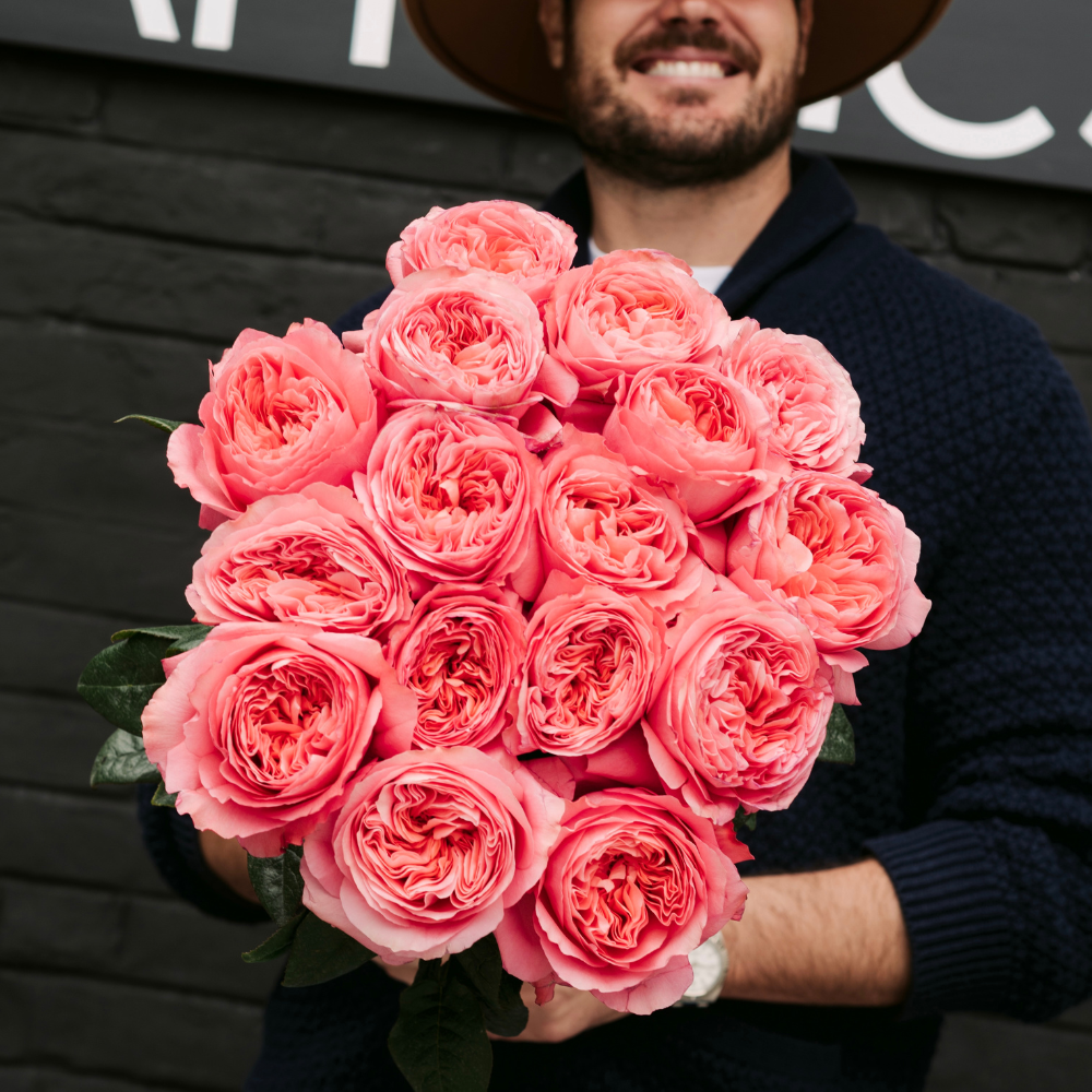 PEONY BEAUTY