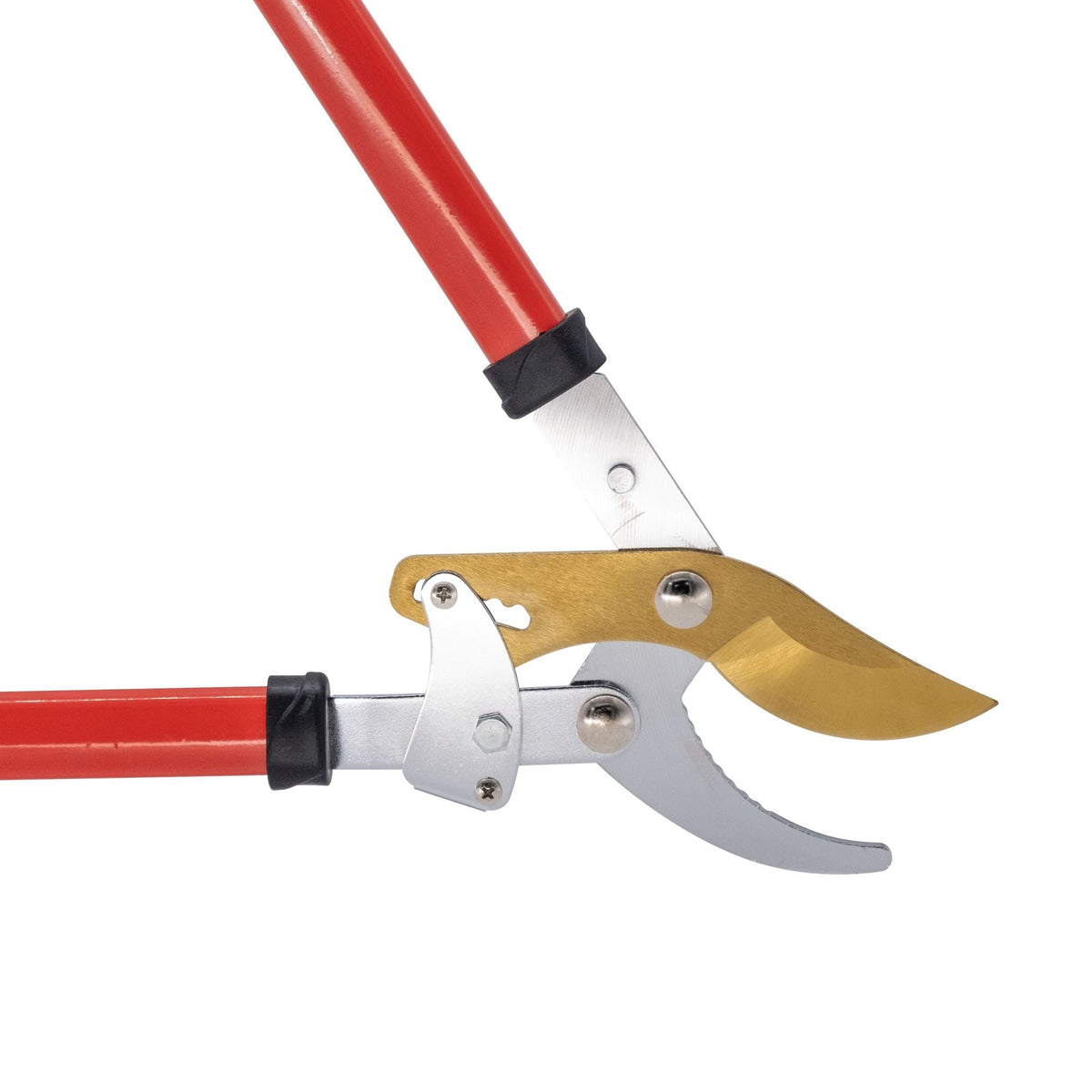 30 Inch Compound Ratchet Lopper with Titanium Coating