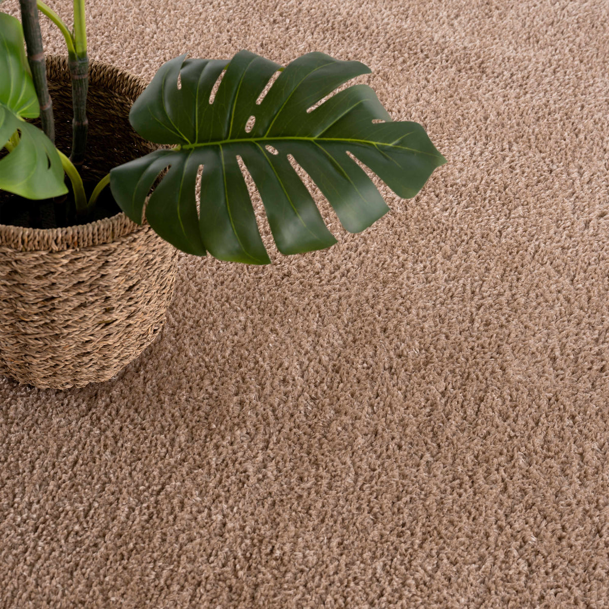 Judy Brown - Promo Washable Area Rug - Clearance
