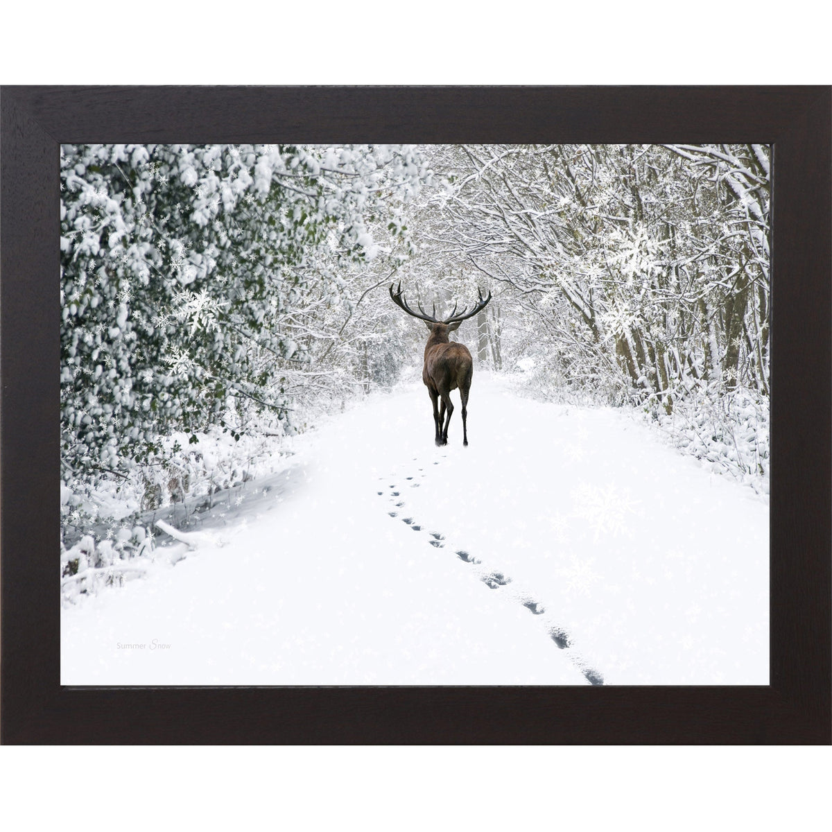 Snow Tracks Wall Art – Winter Stag In The Woods Landscape (SA426)