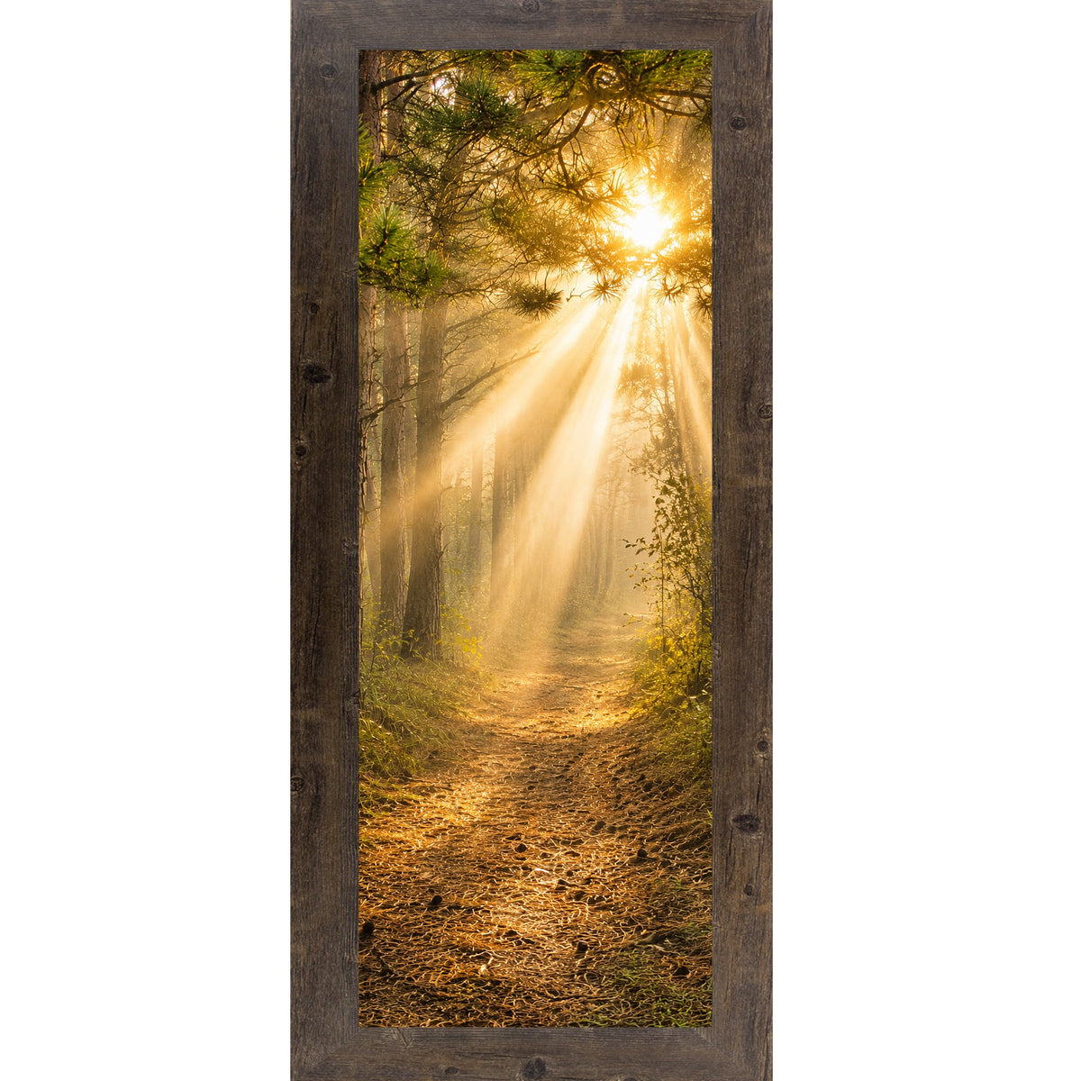 Forest Light Path Wall Art – Narrow Portrait Divine Sunlight Pine Decor (SB948)