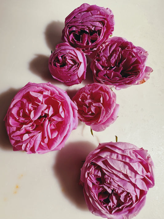 Rosichor. Vedic rose + petrichor natural perfume. April 2024