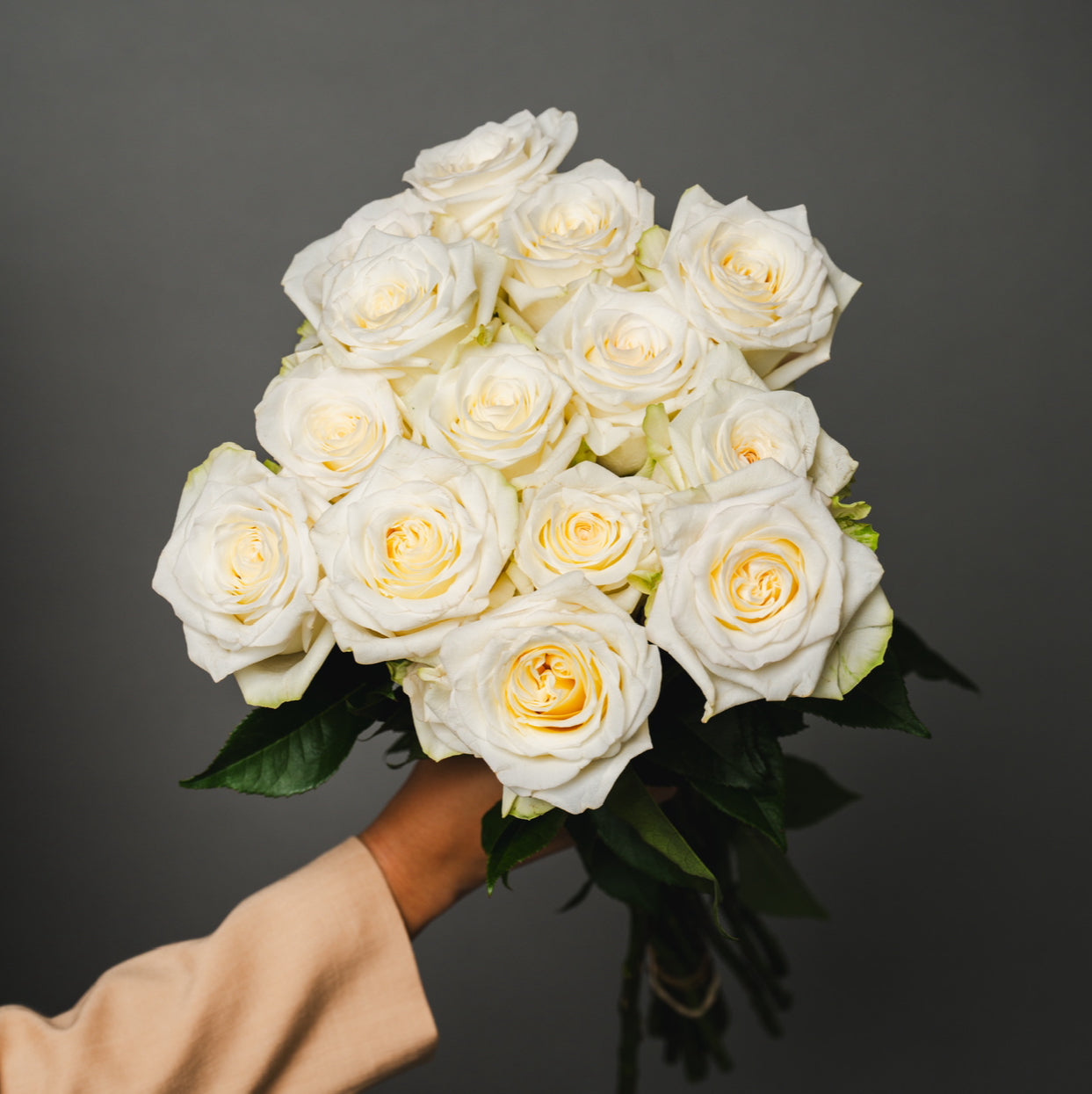 ROYAL WHITE