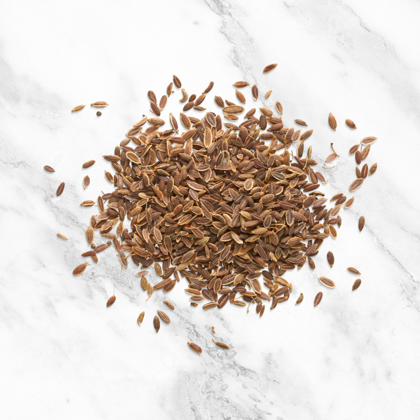 Fennel Seeds