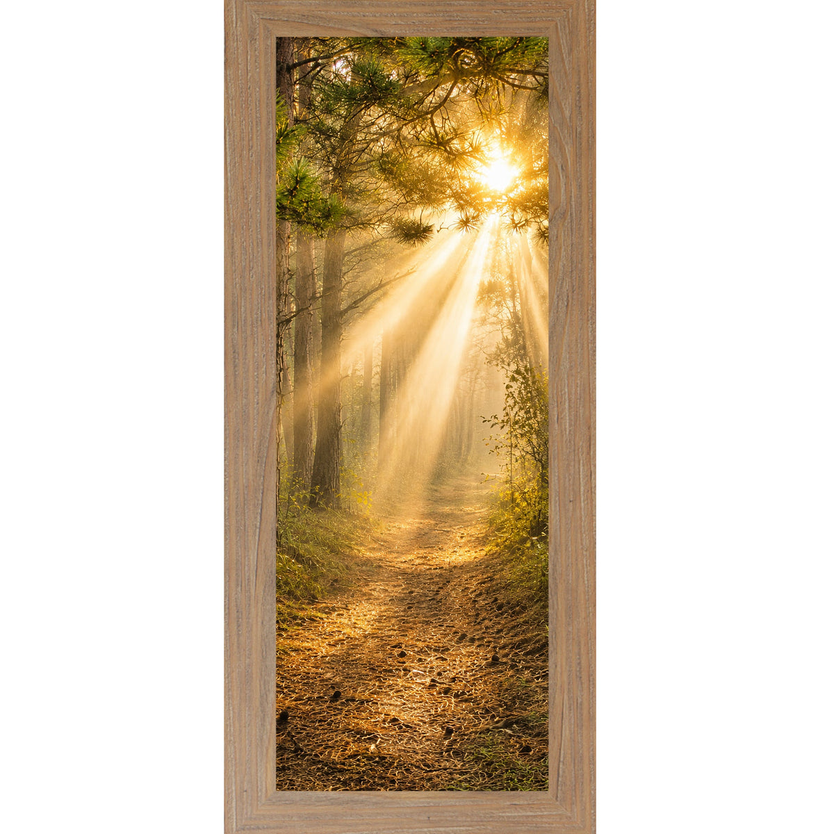 Forest Light Path Wall Art – Narrow Portrait Divine Sunlight Pine Decor (SB948)
