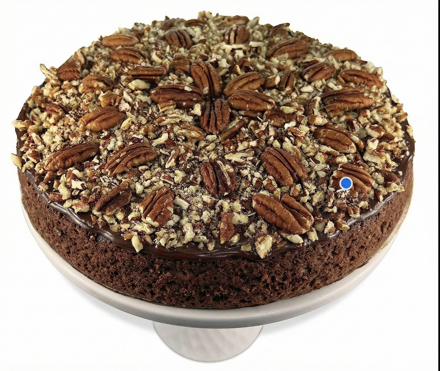 Andy Anand Chocolate Caramel Pecan Cake 9" - Fresh Baked Handcrafted Cake, Decadent, Delicious (2.8) lbs