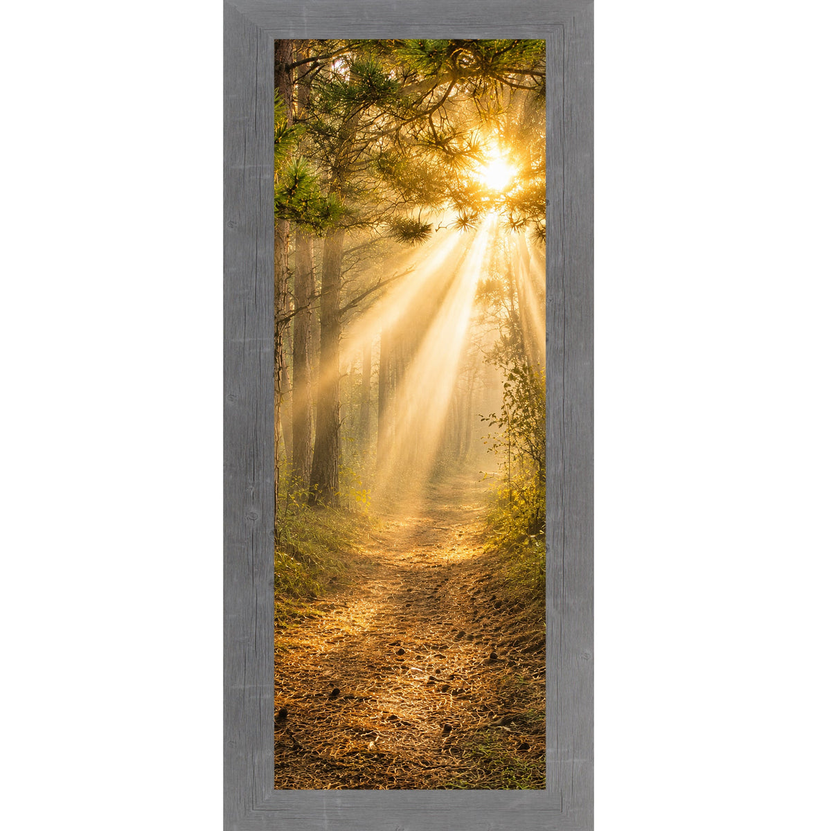 Forest Light Path Wall Art – Narrow Portrait Divine Sunlight Pine Decor (SB948)