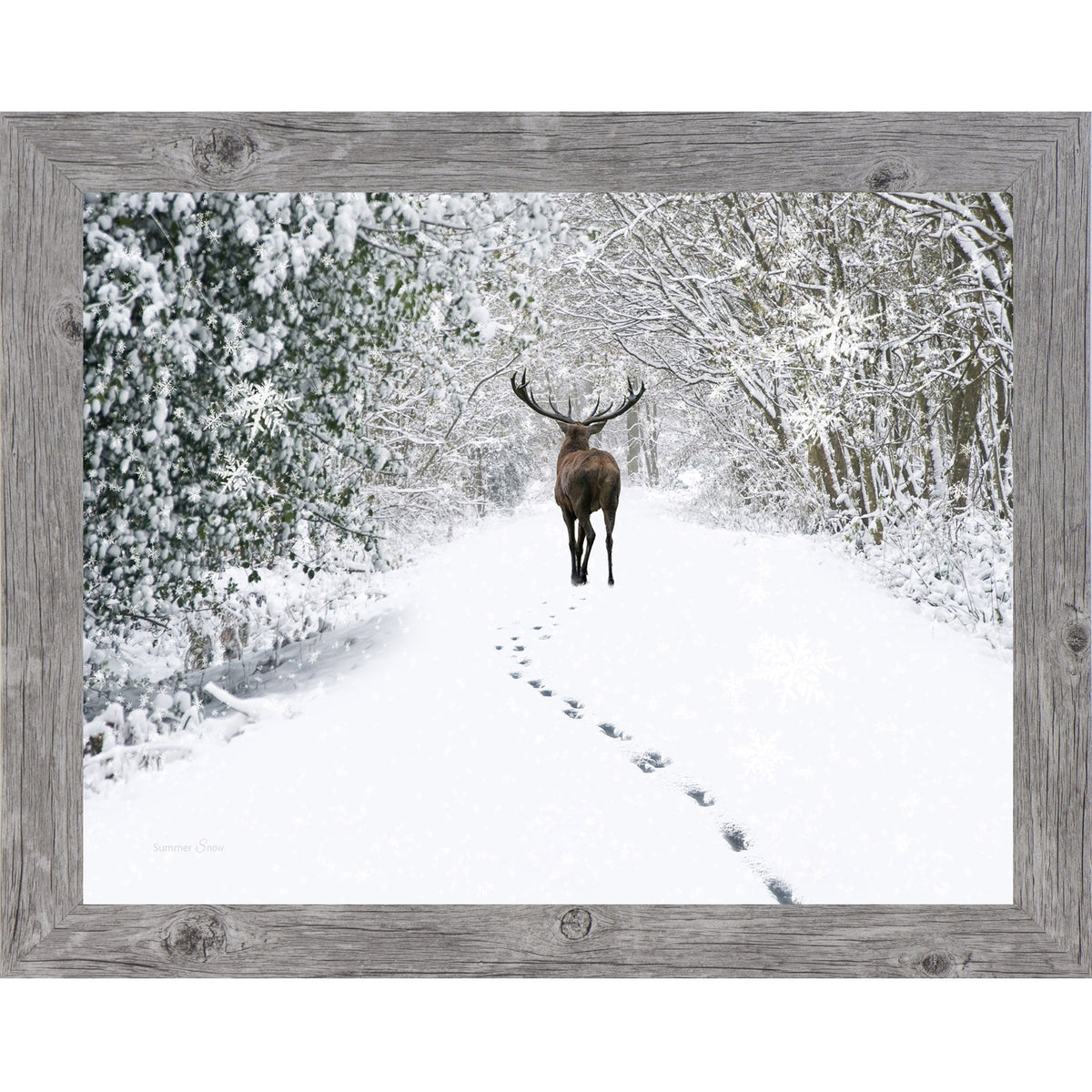 Snow Tracks Wall Art – Winter Stag In The Woods Landscape (SA426)