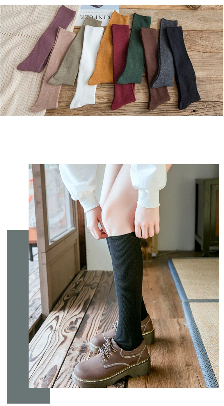 10 Colors Women's Cotton Socks Long Socks