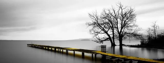 Modern Nature Style Canvas Print