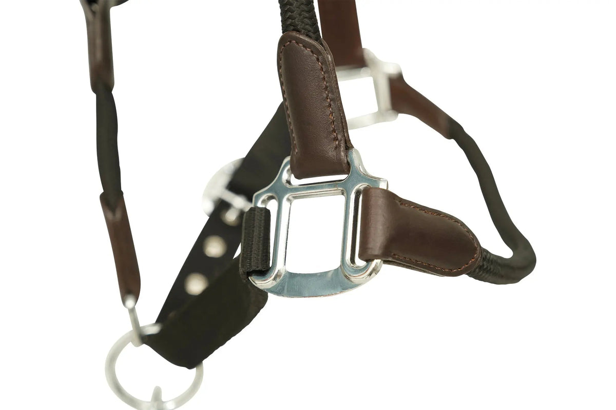 Huntley Nylon Halter and Removable Lead with Snap, Black