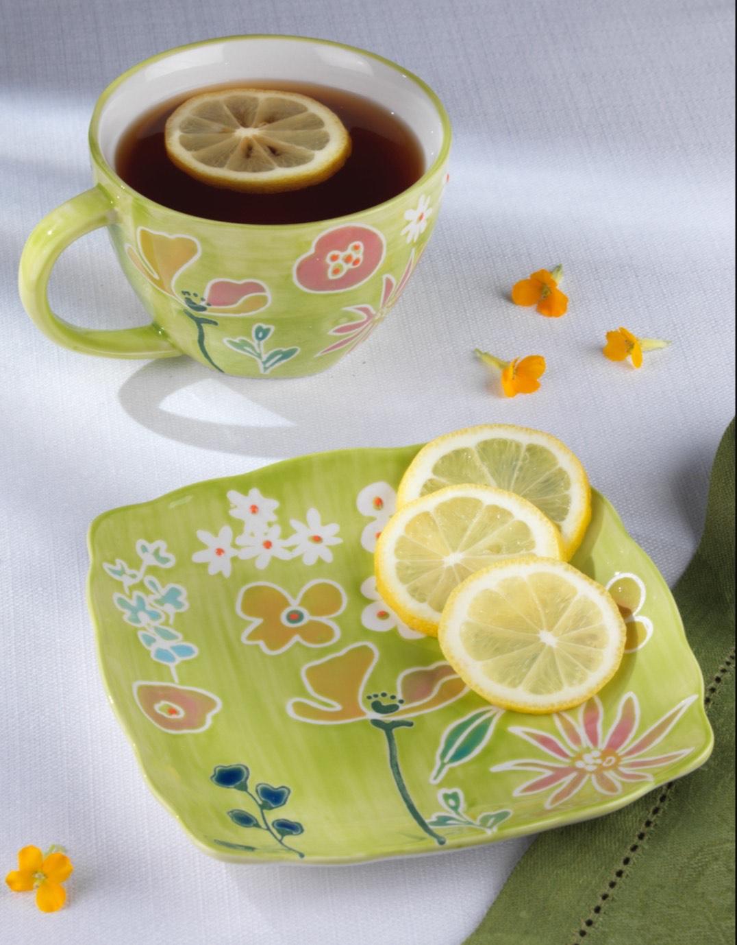 Primavera Hand painted Stoneware Latte Mugs Set, Set of 4