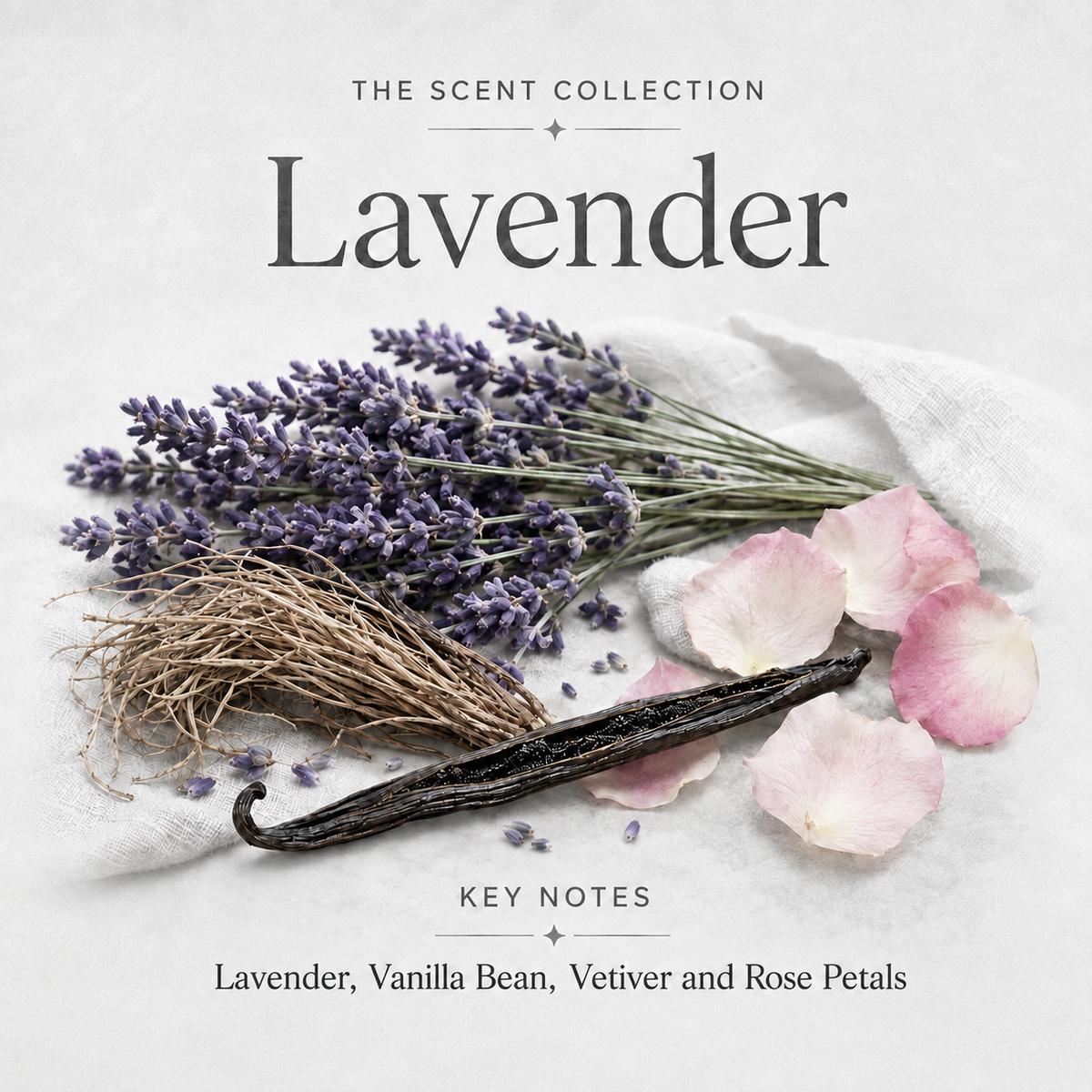 LAVENDER Scented Laundry Detergent