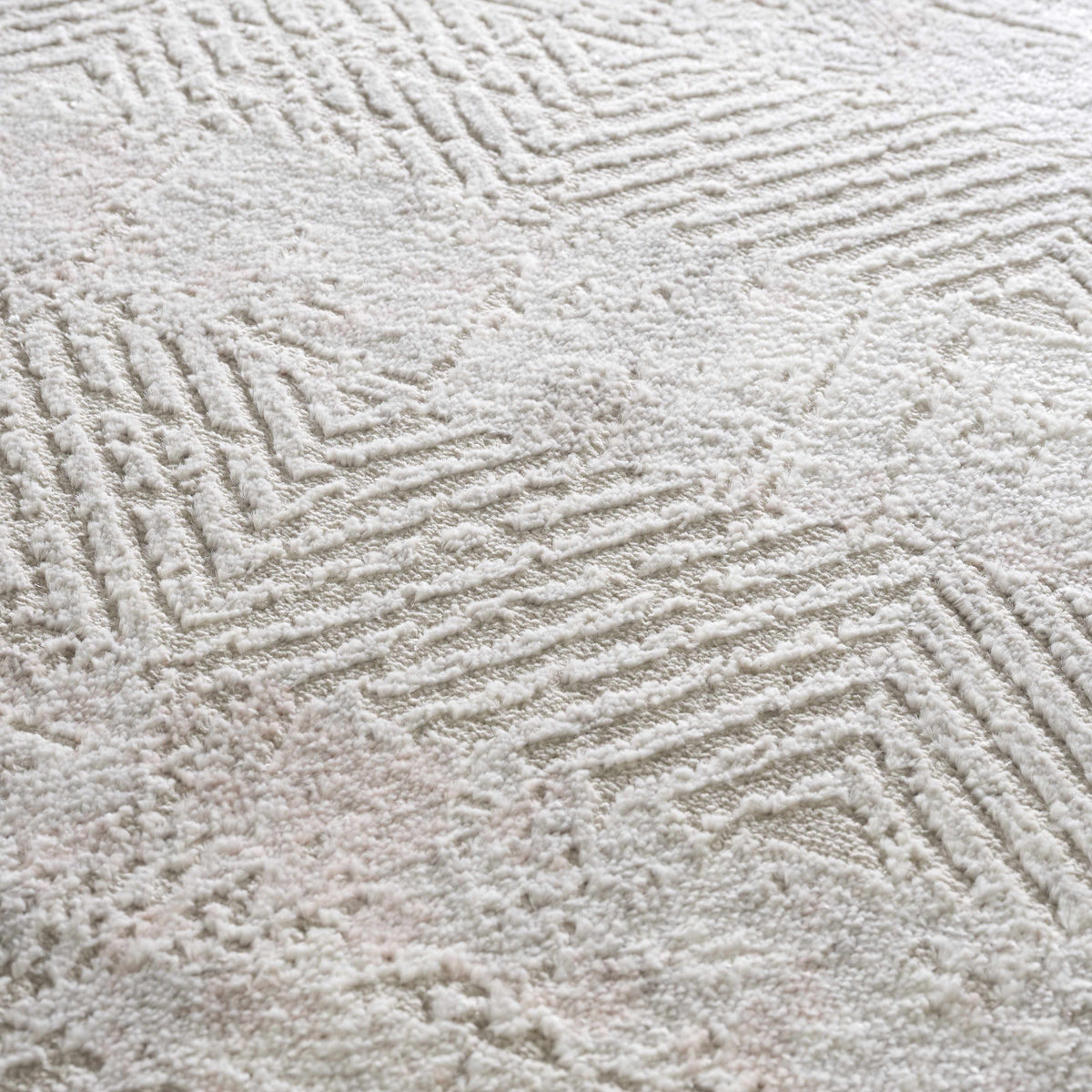 Bucky Area Rug