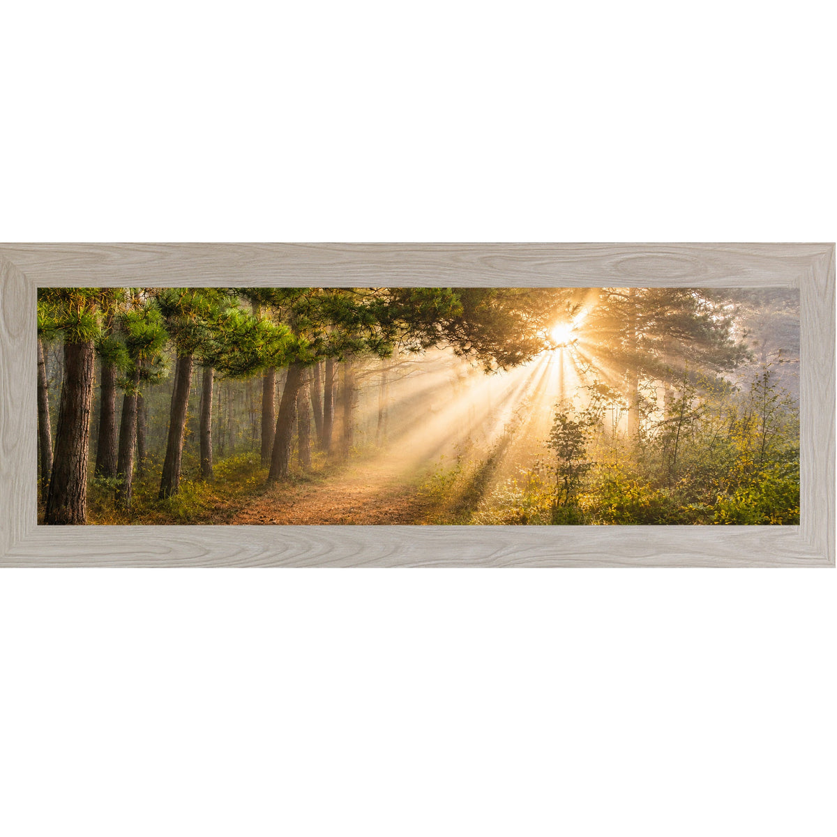 Forest Light Rays Wall Art – Panoramic Pine Sunlight Sympathy Nature Decor (SB947)