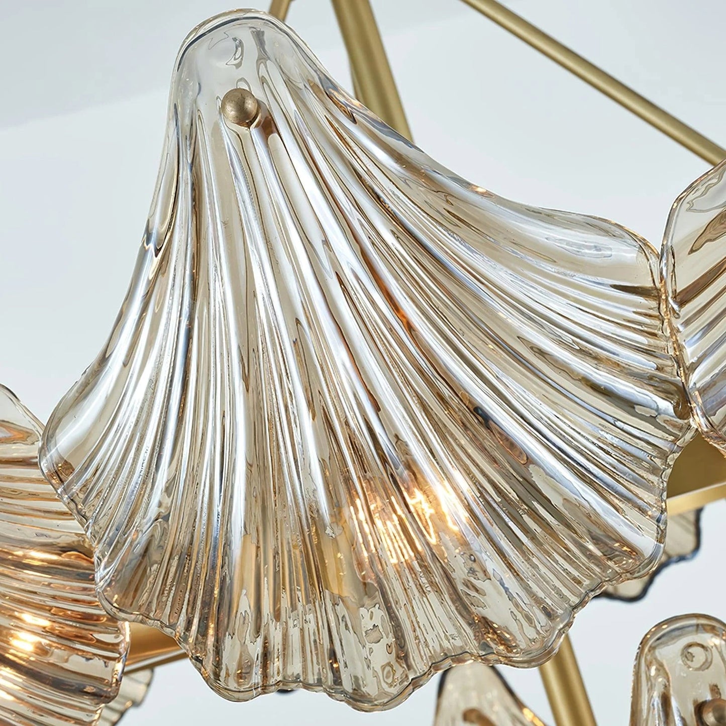 Modern Shell Glass Chandelier
