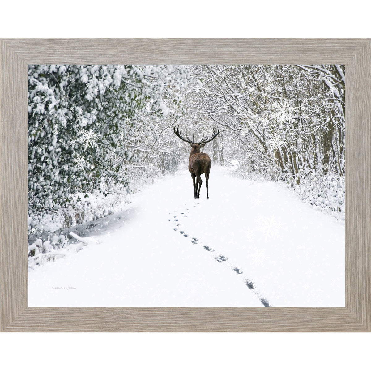 Snow Tracks Wall Art – Winter Stag In The Woods Landscape (SA426)