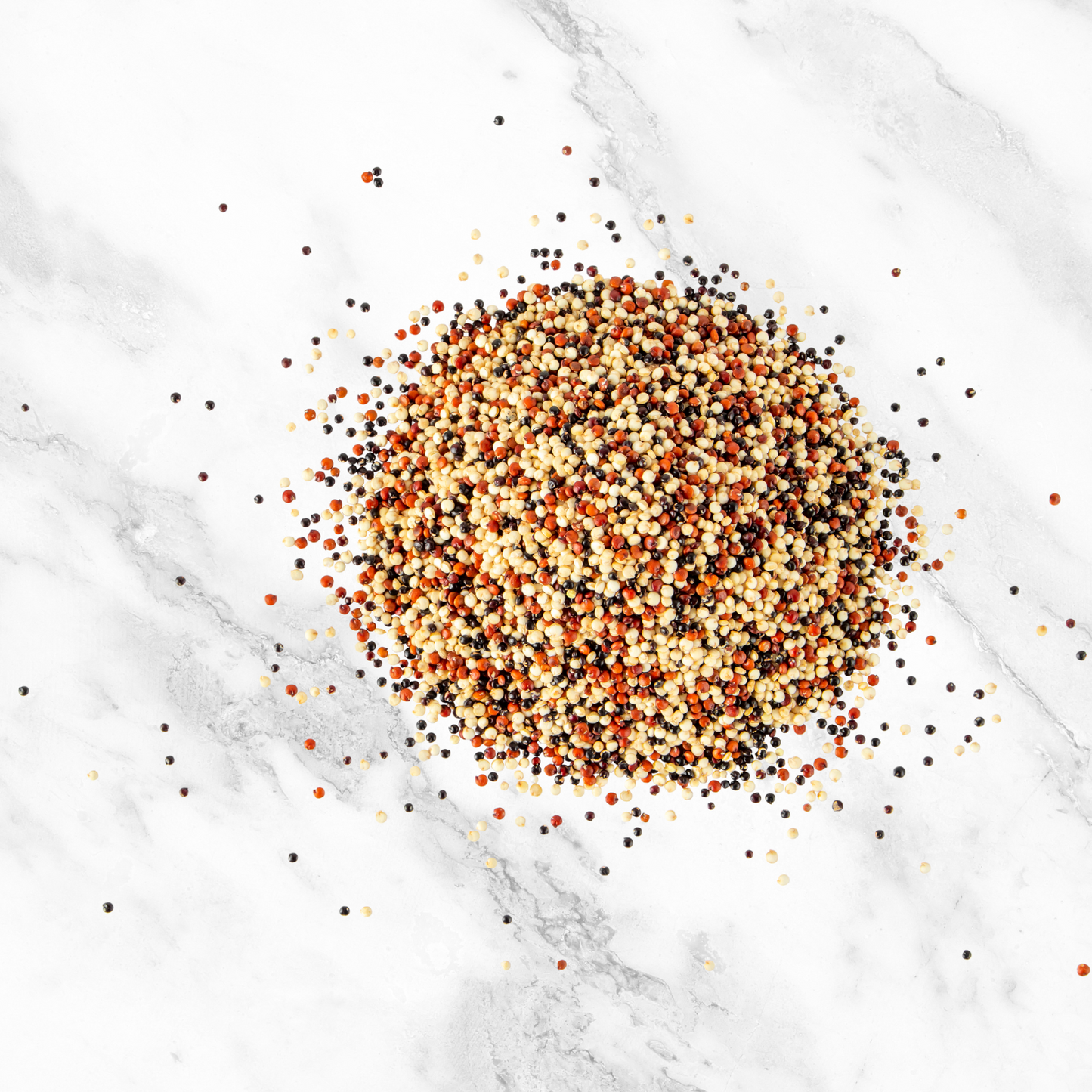 Mustard Seeds | Black & Yellow Blend