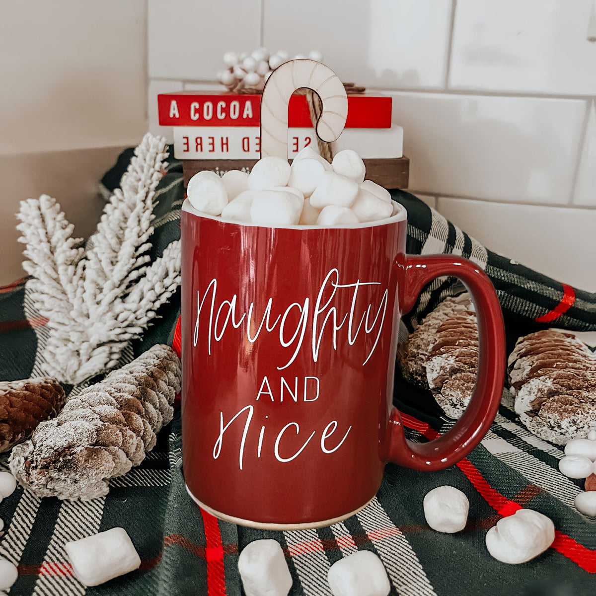 Naughty & Nice
