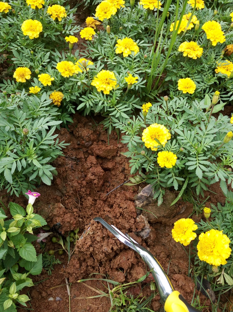 For Home Flower Planting Pot Fork Pruning Shear Gardening Tools