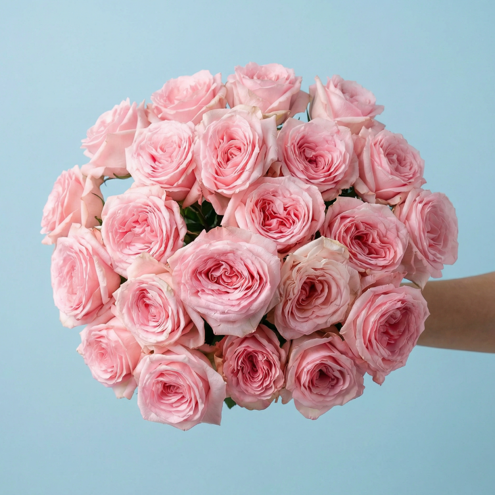 PINK SERENADE