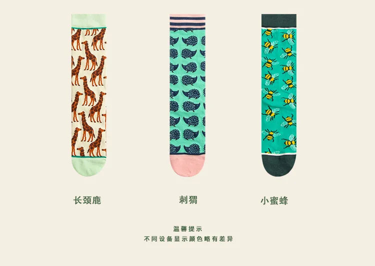 Fashion Colorful Spring Autumn Women's Socks