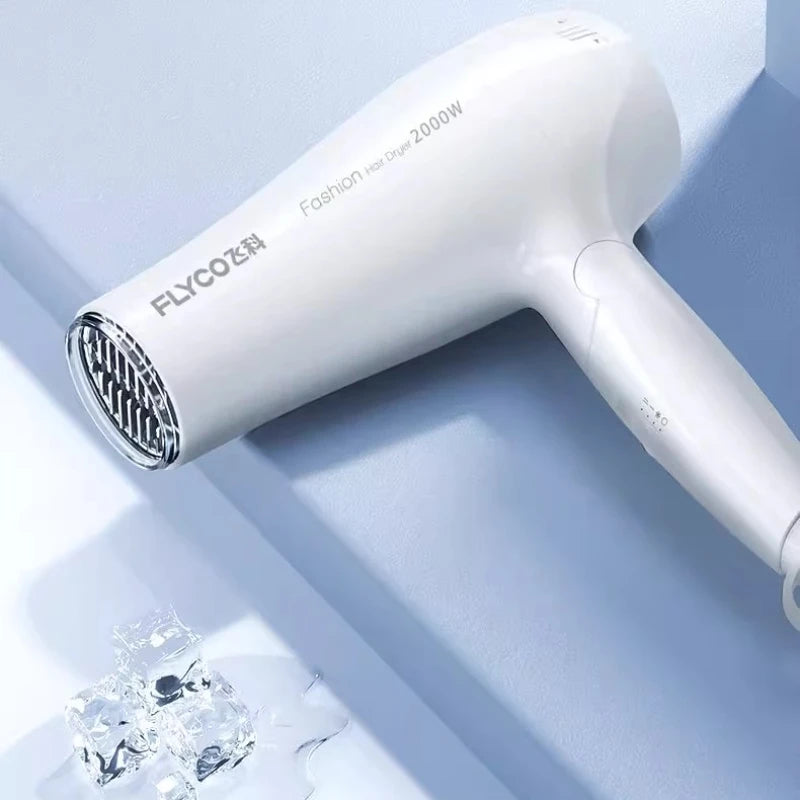 Flyco Hair Dryer High Wind Speed Drying Constant Temperature Hair Care High Power Household Hair Dryer Supports Cold and Hot Air