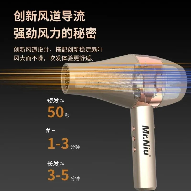 Professional Ionic Hair Dryer | Powerful Blow Dryer with Fast Heating, Hot & Cold Settings, Air Collecting Design
