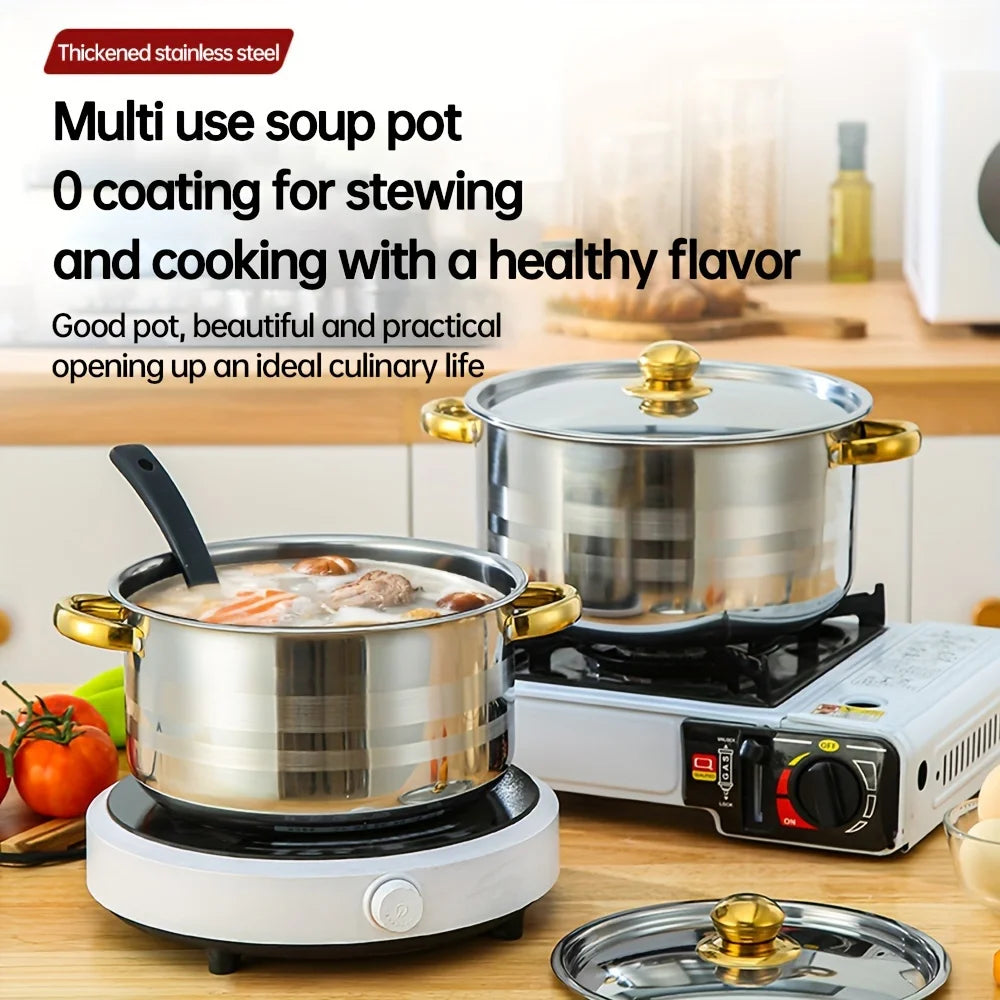 Stainless steel cooking pot with lid