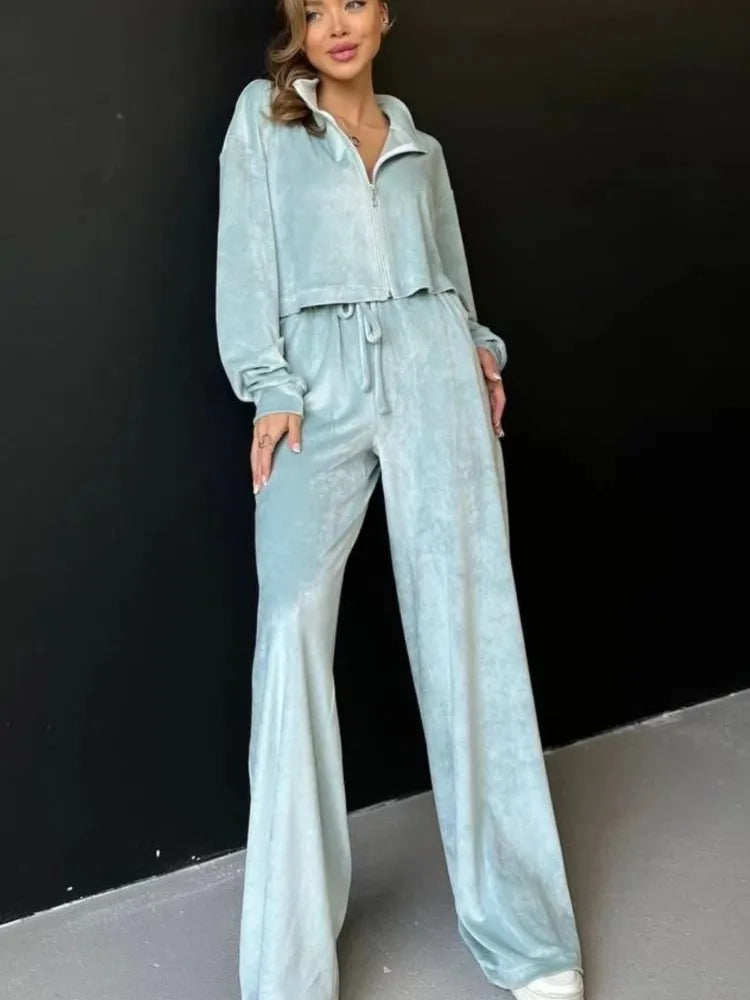 Autumn Winter Solid Casual Velvet Two Piece Tracksuit Sets for Women