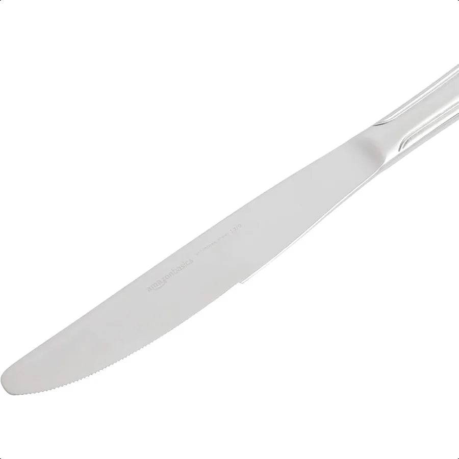 Stainless Steel Flatware Dishwasher Safe Service for 4 20 Piece