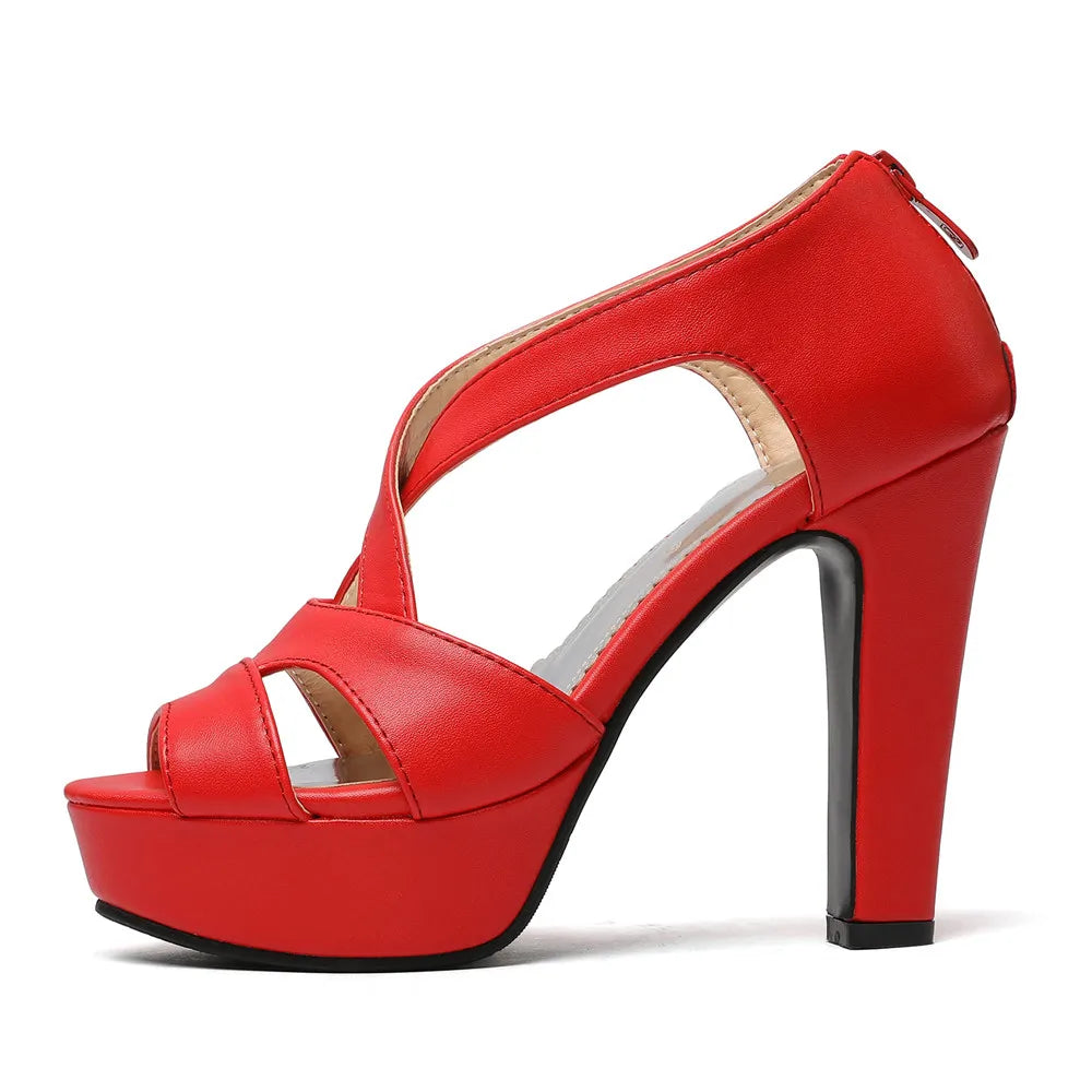 Women Sandals Zipper Ankle Strap Cross Tied High Heels Platform Shoes