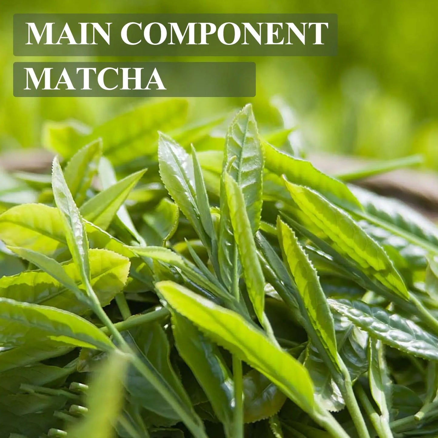 Matcha toner deeply moisturizes and hydrates the skin, improves pores, tightens the skin, and enhances skin luster 100ml