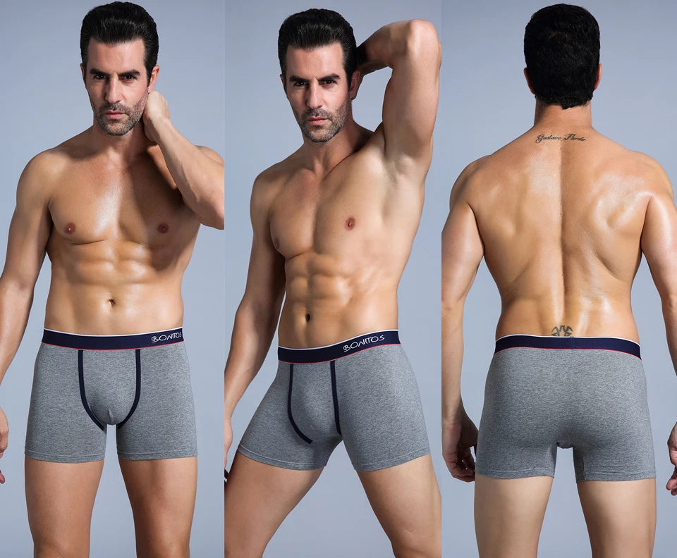 4Pcs Men's Cotton Underpants Sexy Boxers