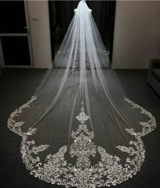 3M Long Cathedral Length White Ivory Bridal Veils with Appliques