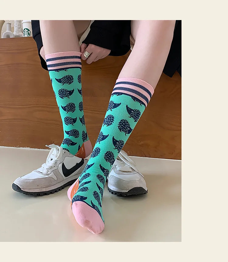 Fashion Colorful Spring Autumn Women's Socks