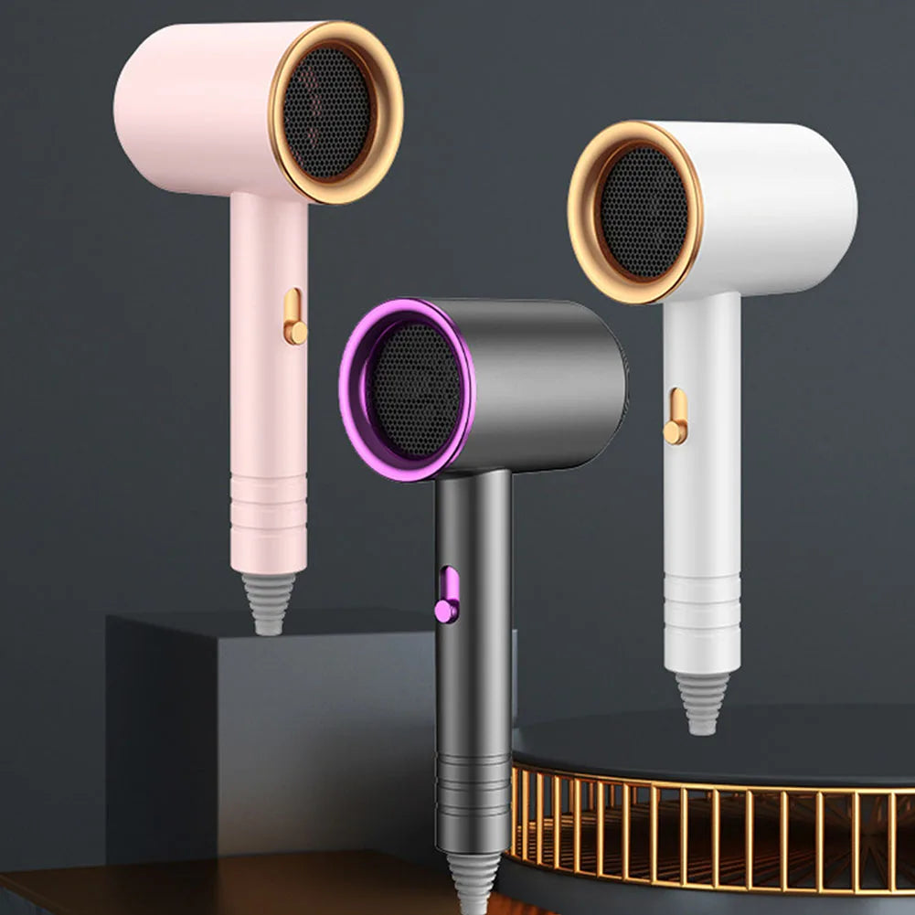Professional High-Speed Hair Dryer 800W High-Power Negative Ion Ultra Silent For Home Hair Salons
