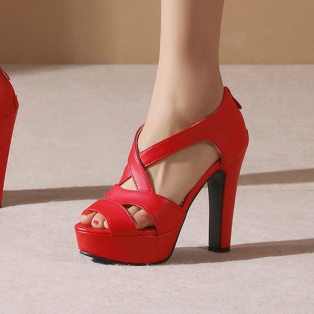 Women Sandals Zipper Ankle Strap Cross Tied High Heels Platform Shoes