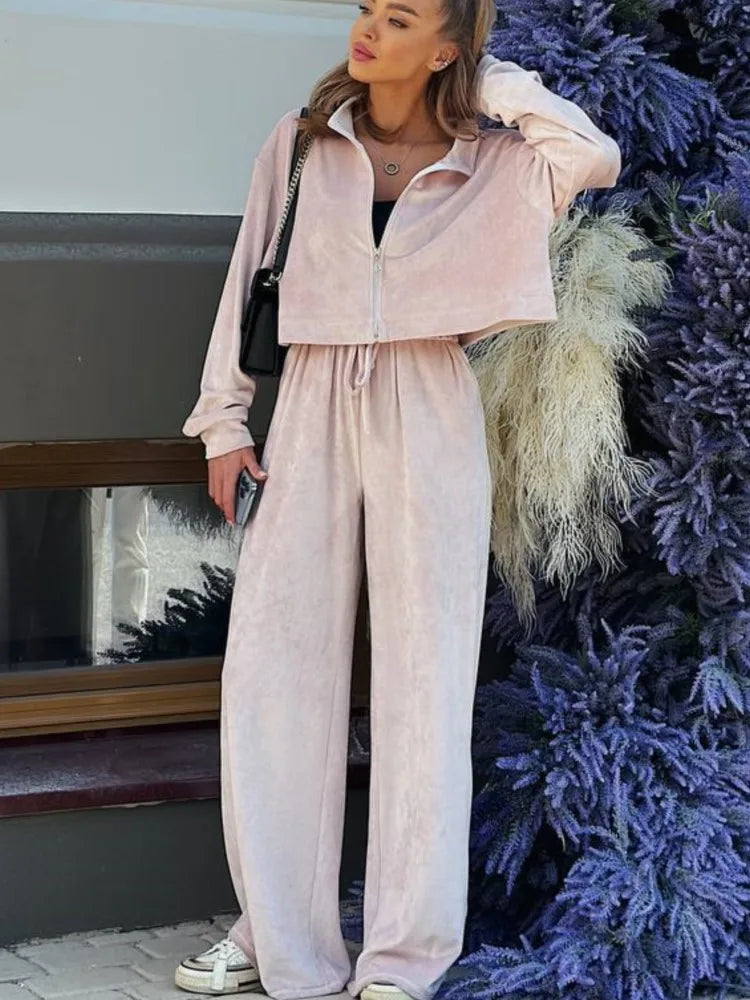 Autumn Winter Solid Casual Velvet Two Piece Tracksuit Sets for Women