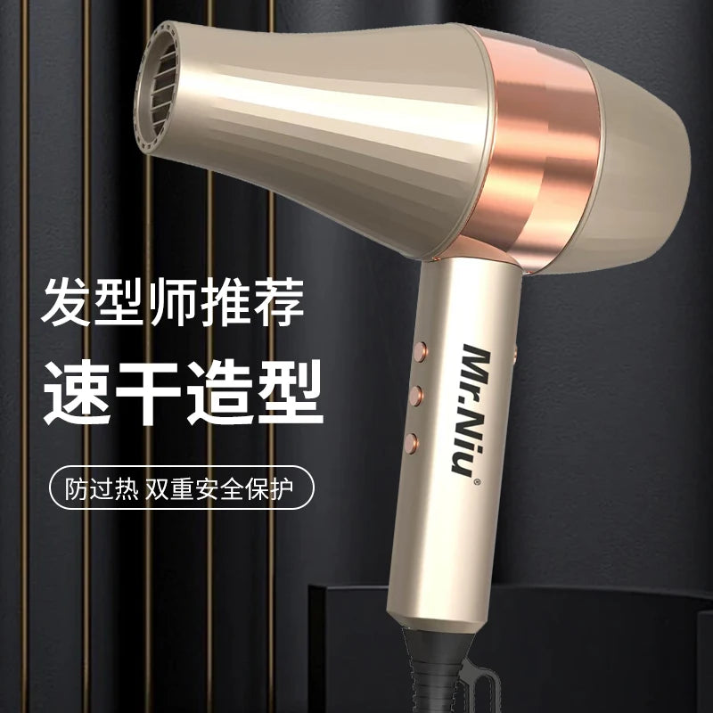 Professional Ionic Hair Dryer | Powerful Blow Dryer with Fast Heating, Hot & Cold Settings, Air Collecting Design