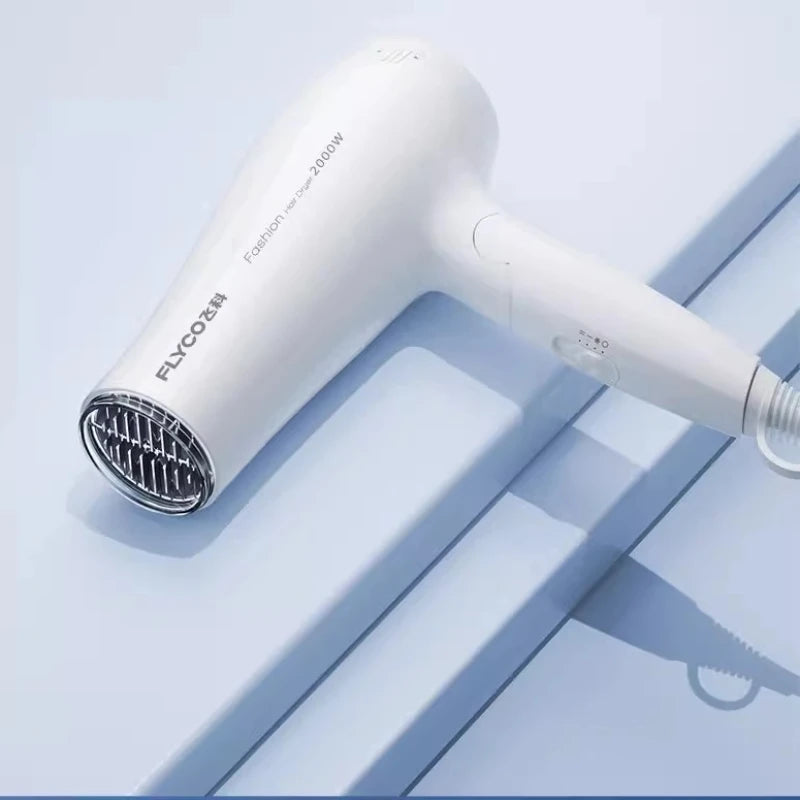Flyco Hair Dryer High Wind Speed Drying Constant Temperature Hair Care High Power Household Hair Dryer Supports Cold and Hot Air