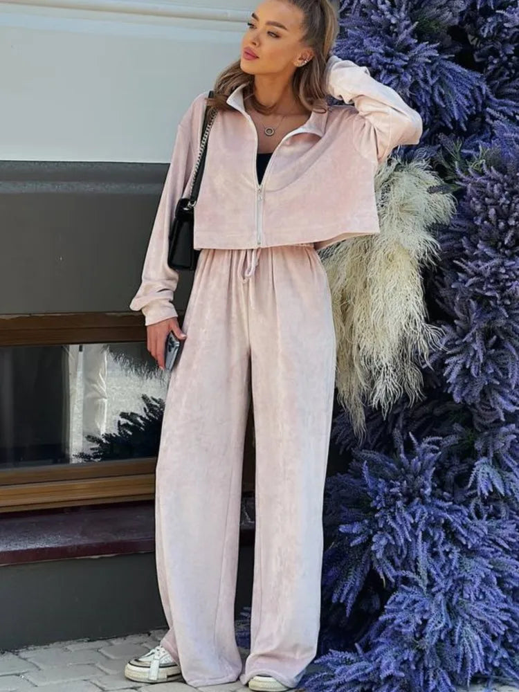 Autumn Winter Solid Casual Velvet Two Piece Tracksuit Sets for Women