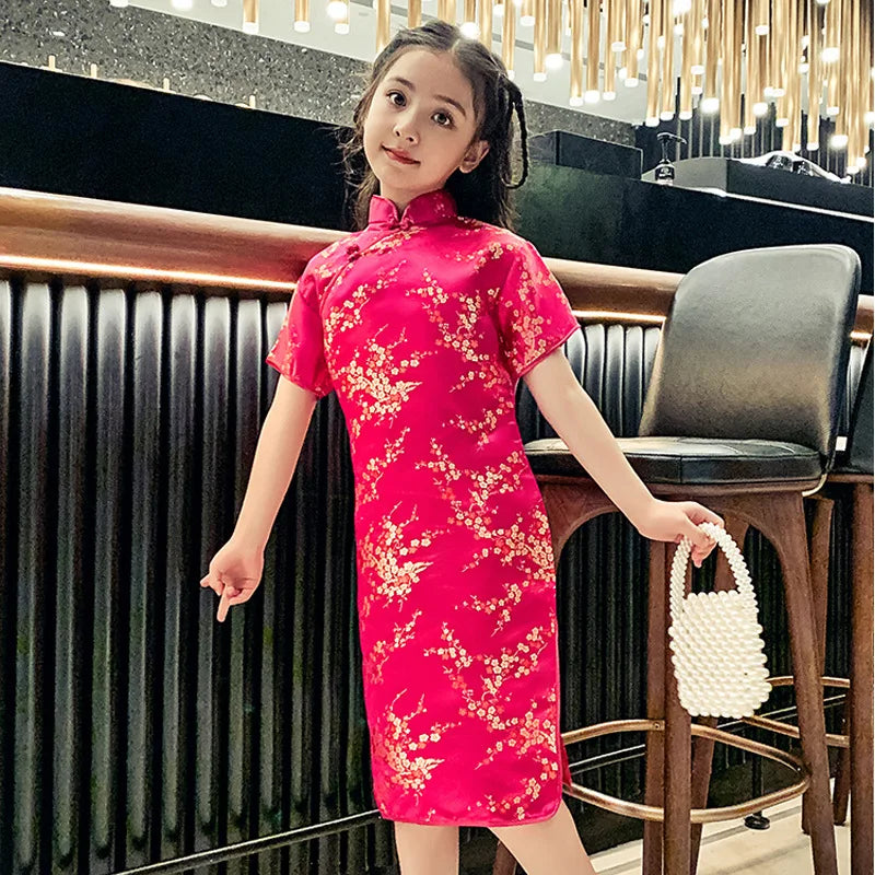 Traditional Chinese Girl Dress